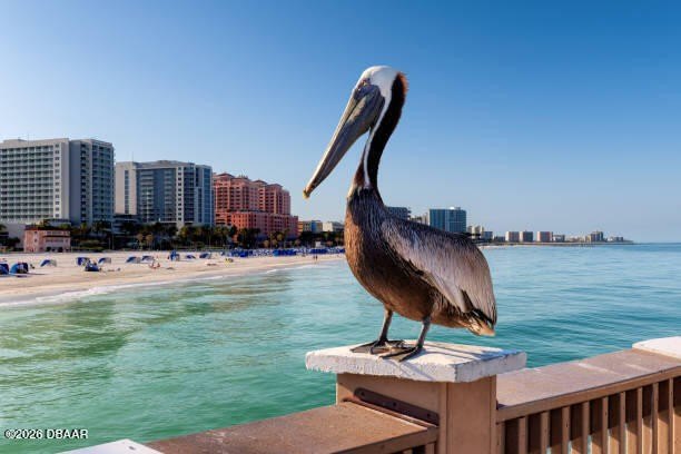 BEST PRICE IN THE BUILDING! DIRECT OCEANFRONT! PREFERRED - photo 2