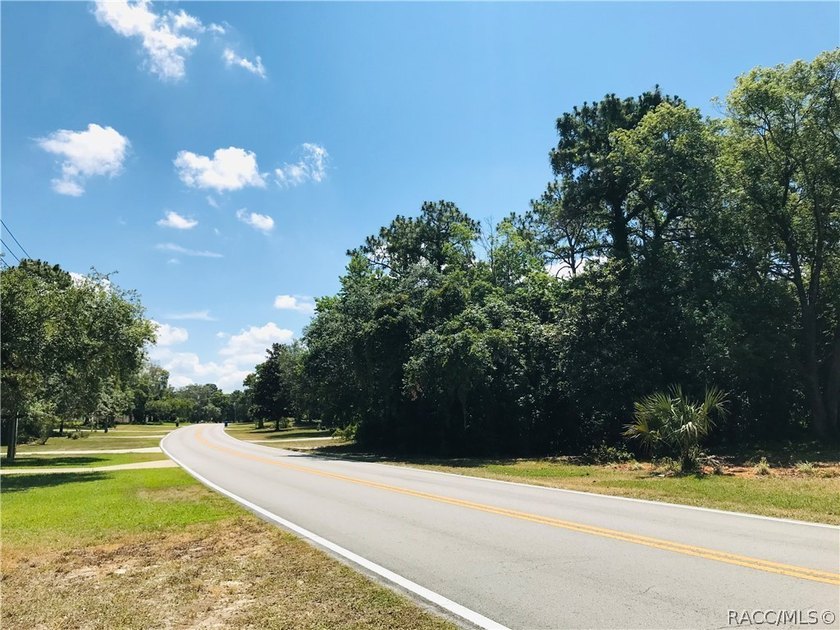 Premium estate home site in Cypress Village at Sugarmill Woods - photo 11