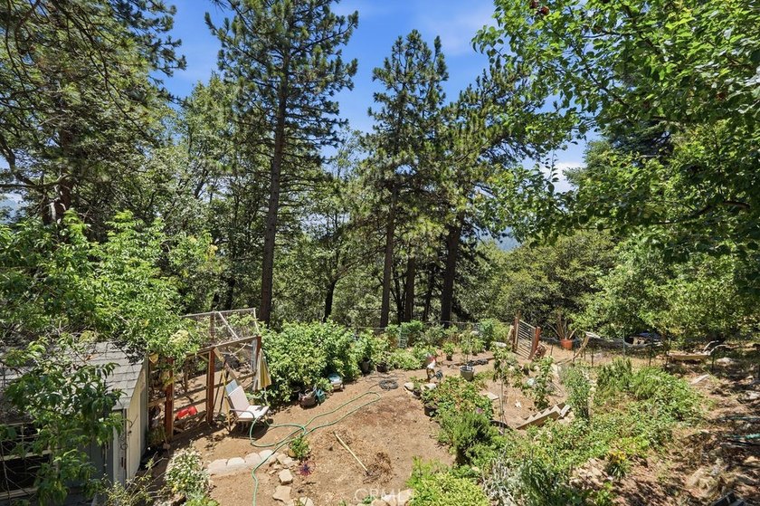 21543 Peak Cir - photo 40