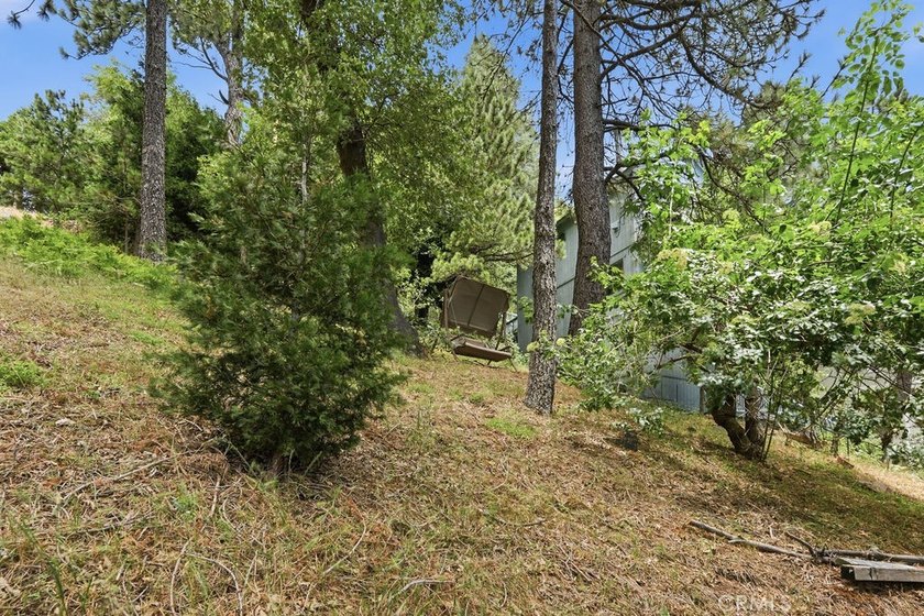 21543 Peak Cir - photo 44