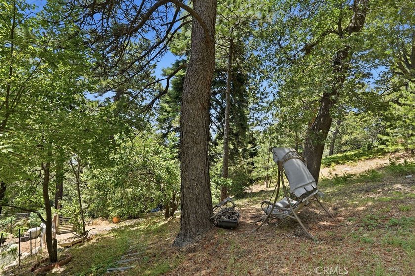 21543 Peak Cir - photo 45