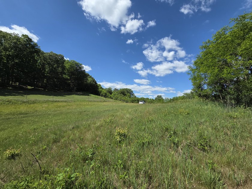 Bring your vision to life with this exceptional 10-acre tract - photo 5
