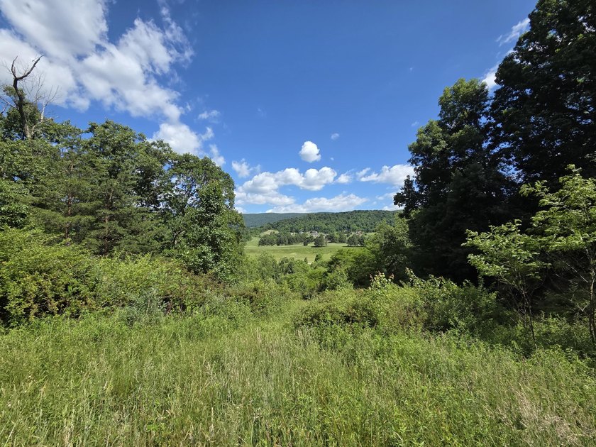 Bring your vision to life with this exceptional 10-acre tract - photo 6