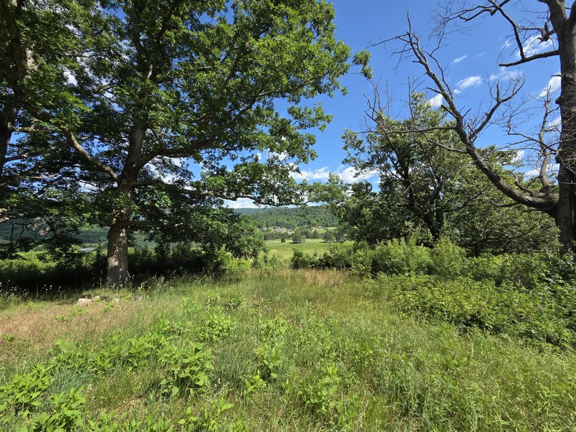 Bring your vision to life with this exceptional 10-acre tract - photo 9