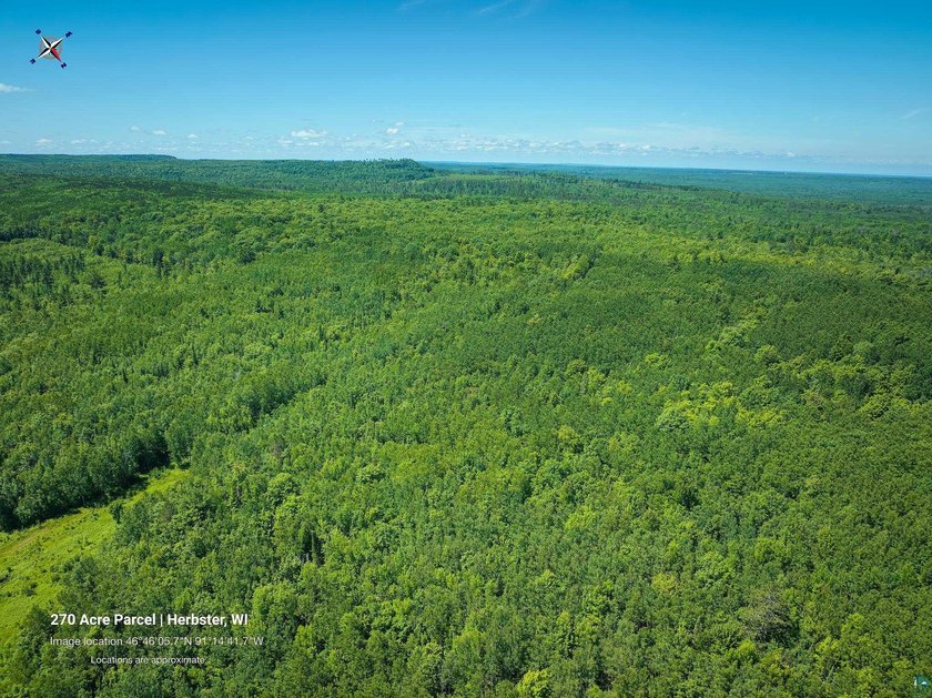 Escape to your own private wilderness with this expansive - photo 4