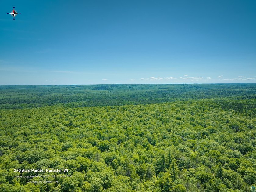 Escape to your own private wilderness with this expansive - photo 6