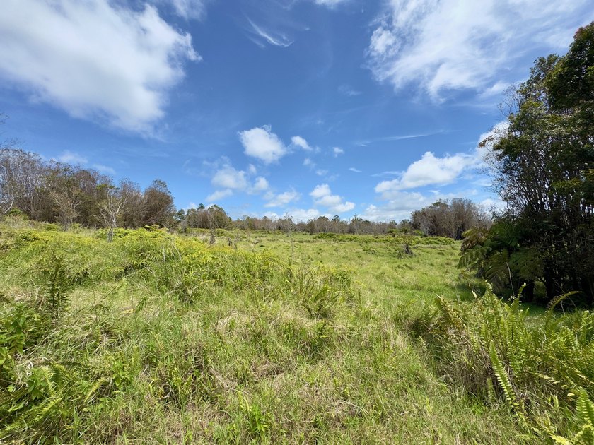 Experience the space, privacy, and potential of this exceptional - photo 3