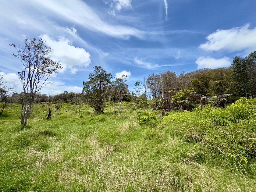 Experience the space, privacy, and potential of this exceptional - photo 5