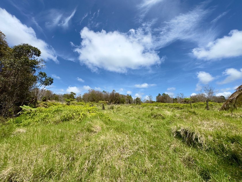 Experience the space, privacy, and potential of this exceptional - photo 6
