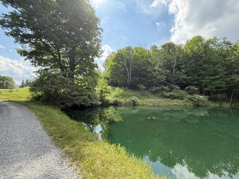 Stunning 5.30 acre lot with a large pond for fishing, floating - photo 2