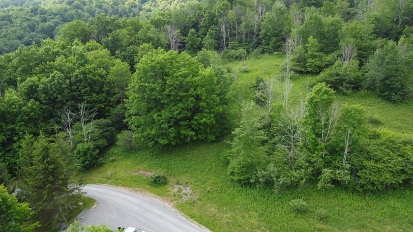 Stunning 5.30 acre lot with a large pond for fishing, floating - photo 6