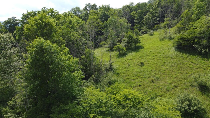 Stunning 5.30 acre lot with a large pond for fishing, floating - photo 10
