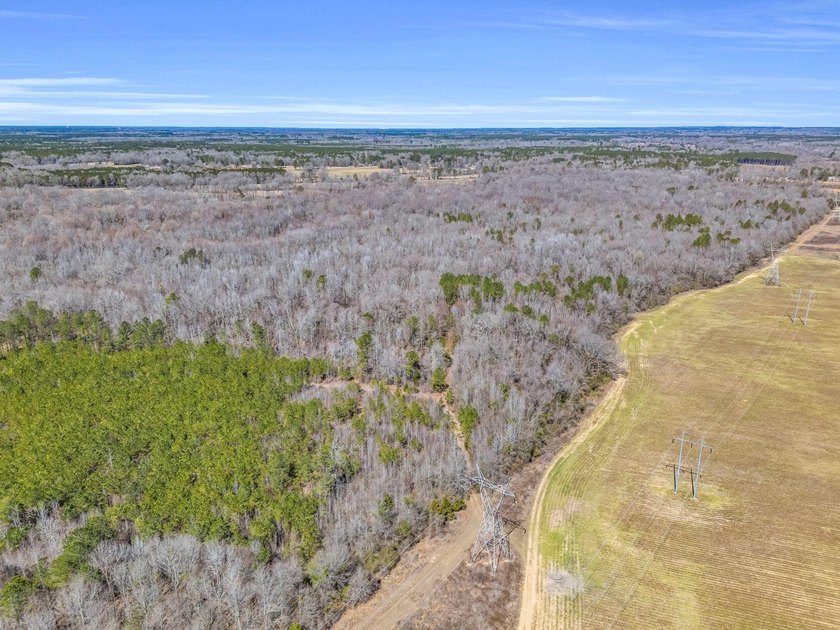 This 132+- acre property is a perfect blend of productive - photo 3