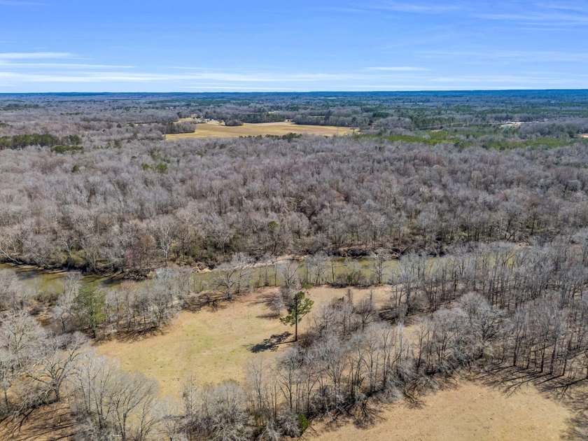 This 132+- acre property is a perfect blend of productive - photo 9