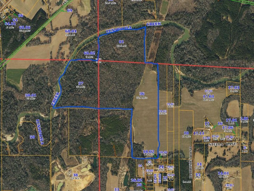 This 132+- acre property is a perfect blend of productive - photo 10