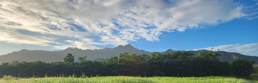 An extraordinary 7.458-acre canvas on Kauai's prestigious North - photo 3