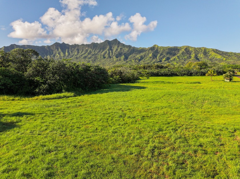 An extraordinary 7.458-acre canvas on Kauai's prestigious North - photo 8