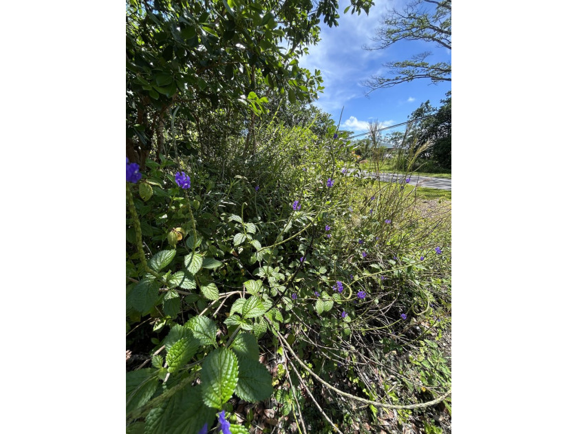 Terms possible for this 1 acre in growing, always desirable - photo 11