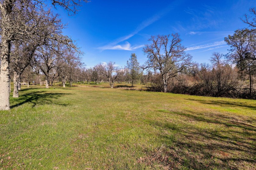 Looking for a possible seller carry? Discover your dream - photo 7