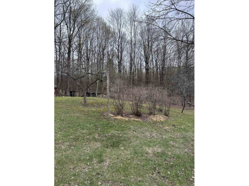 Welcome to 324 Hanson Road located just on the border of - photo 50