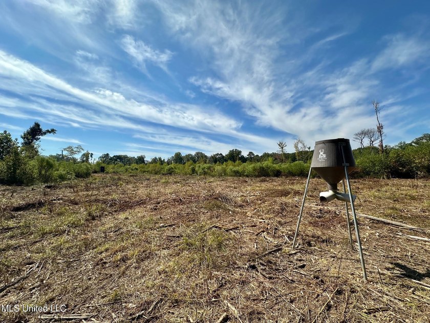 +/- 37 acres located in the Tuscolameta Creek bottom along the - photo 5