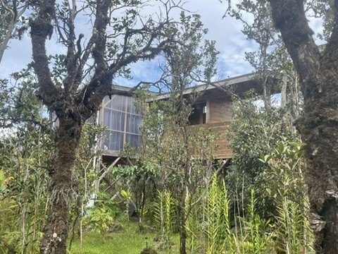 Tropical Treehouse Retreat ! Located on two full acres of native - photo 2