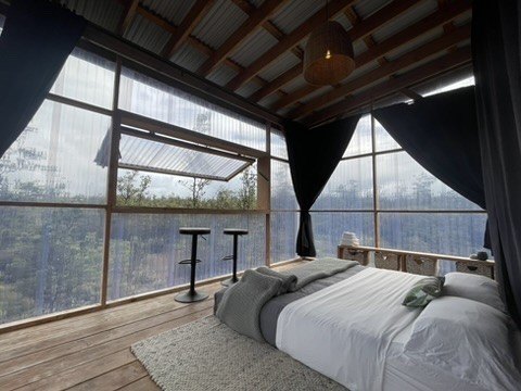 Tropical Treehouse Retreat ! Located on two full acres of native - photo 6