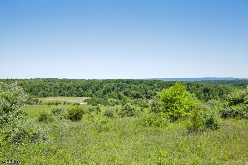 Welcome to one of Western New Jersey's most exceptional land - photo 18