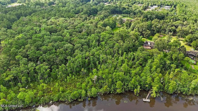 Waterfront Land for Sale - 10.33 Acres on Robinson Bayou! - photo 4