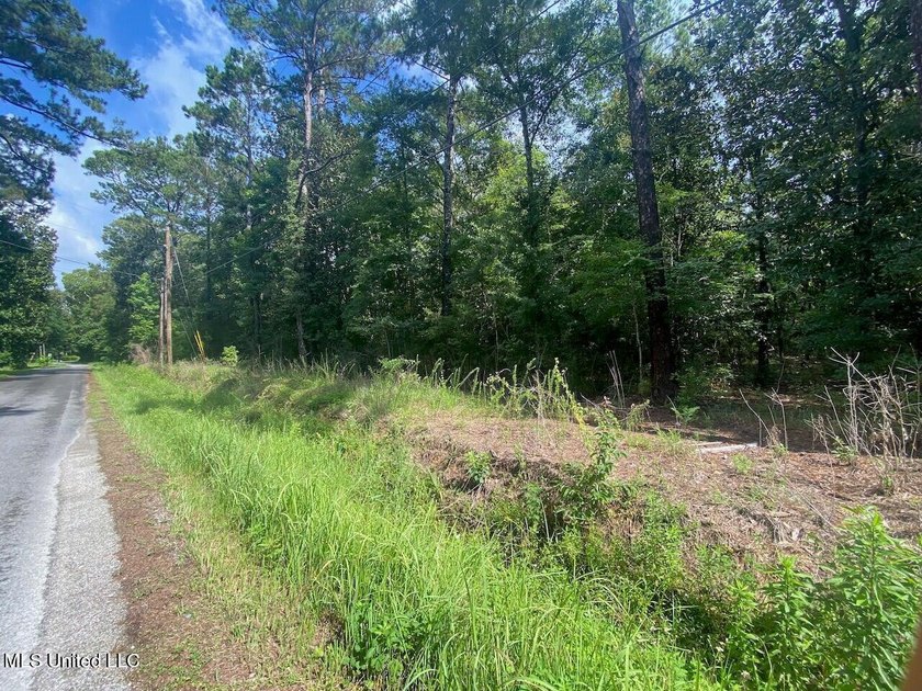 Waterfront Land for Sale - 10.33 Acres on Robinson Bayou! - photo 8