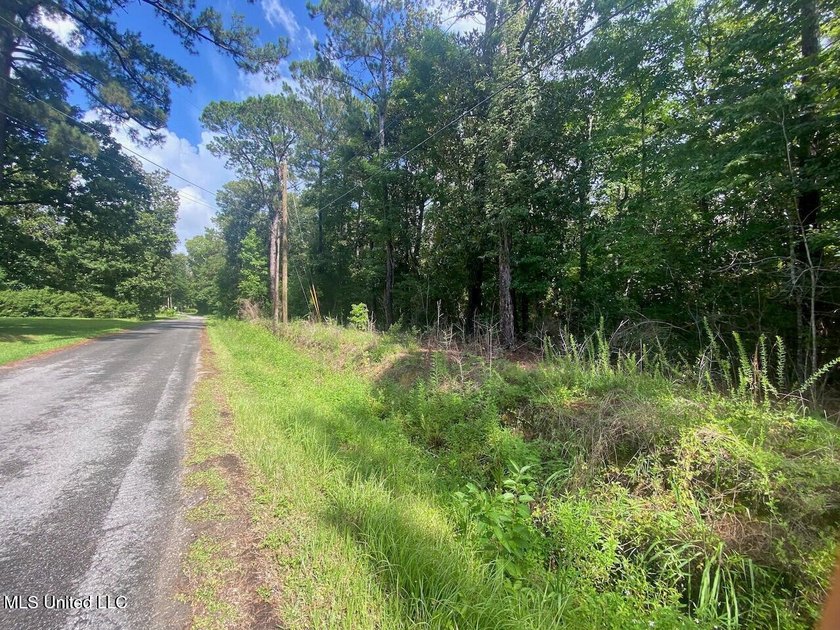 Waterfront Land for Sale - 10.33 Acres on Robinson Bayou! - photo 9