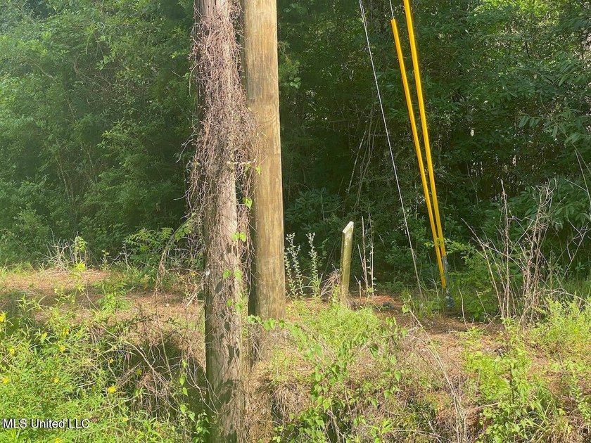 Waterfront Land for Sale - 10.33 Acres on Robinson Bayou! - photo 10