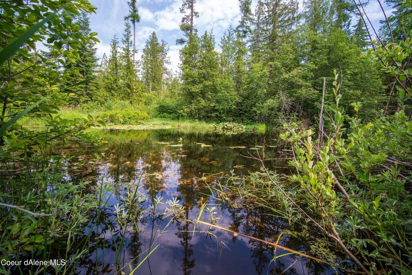 Discover your North ID mountain retreat on this exceptional - photo 4
