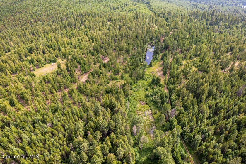 Discover your North ID mountain retreat on this exceptional - photo 5