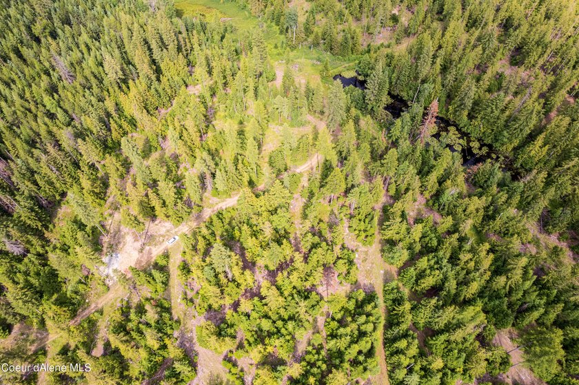 Discover your North ID mountain retreat on this exceptional - photo 7