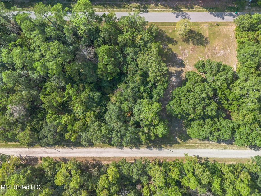 Two Stunning Lots to build Your Dream Home or Investment - photo 3