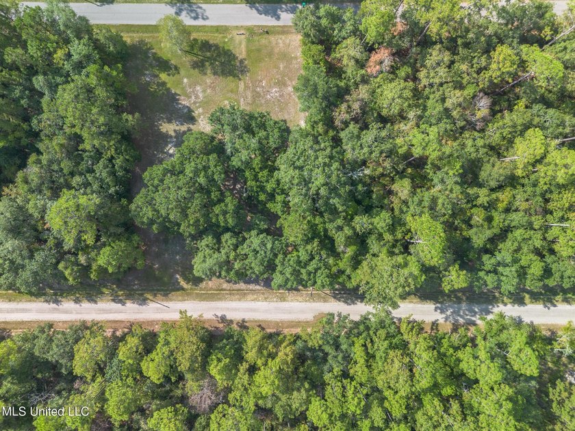 Two Stunning Lots to build Your Dream Home or Investment - photo 4