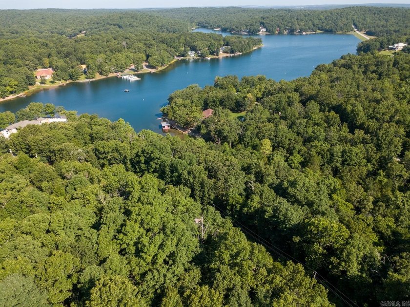 Welcome to the market this beautiful lot on Lake Omaha, in the - photo 5
