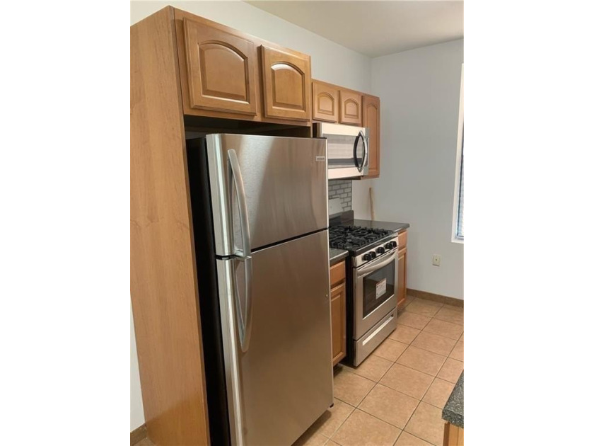 PHENOMENAL FREE MARKET(NO RENT STABILIZATION) EXTRA-LARGE(20x90 - photo 12