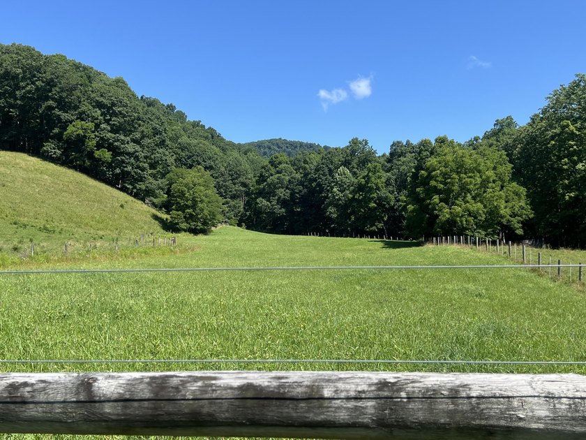 Welcome to the country! This beautiful well-maintained farm has - photo 4