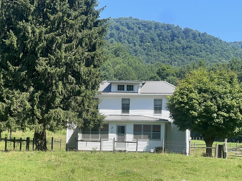 Welcome to the country! This beautiful well-maintained farm has - photo 8