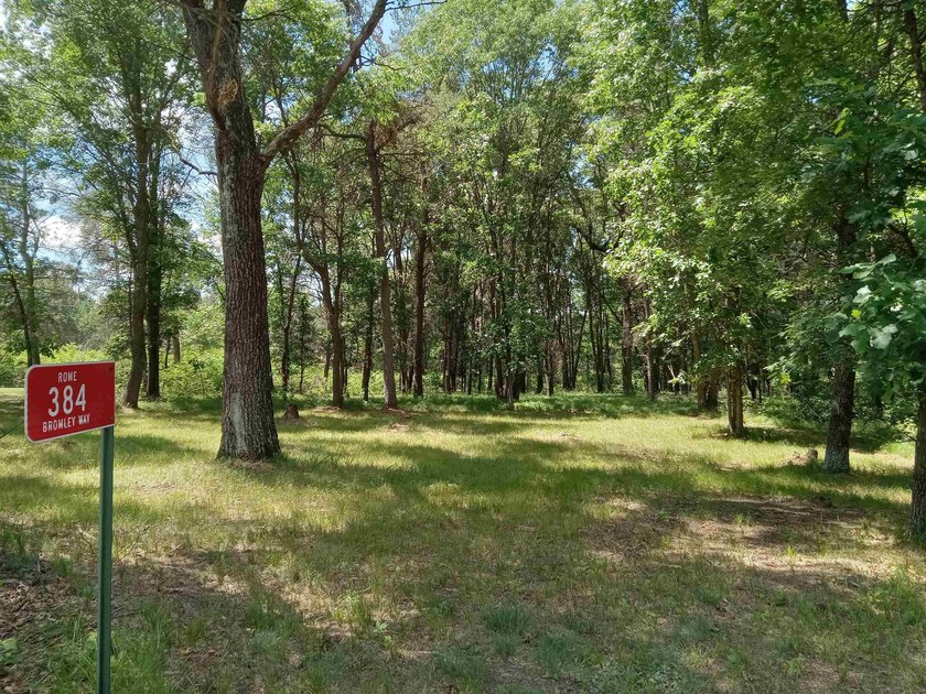 Lake Camelot camping/homebuilding land for sale! Access to the - photo 2