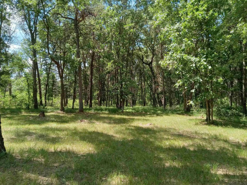 Lake Camelot camping/homebuilding land for sale! Access to the - photo 3
