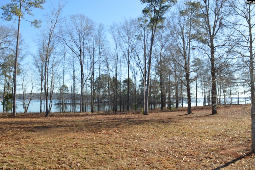 Great main channel views from this 1.1 acre waterfront lot SOLD - photo 4