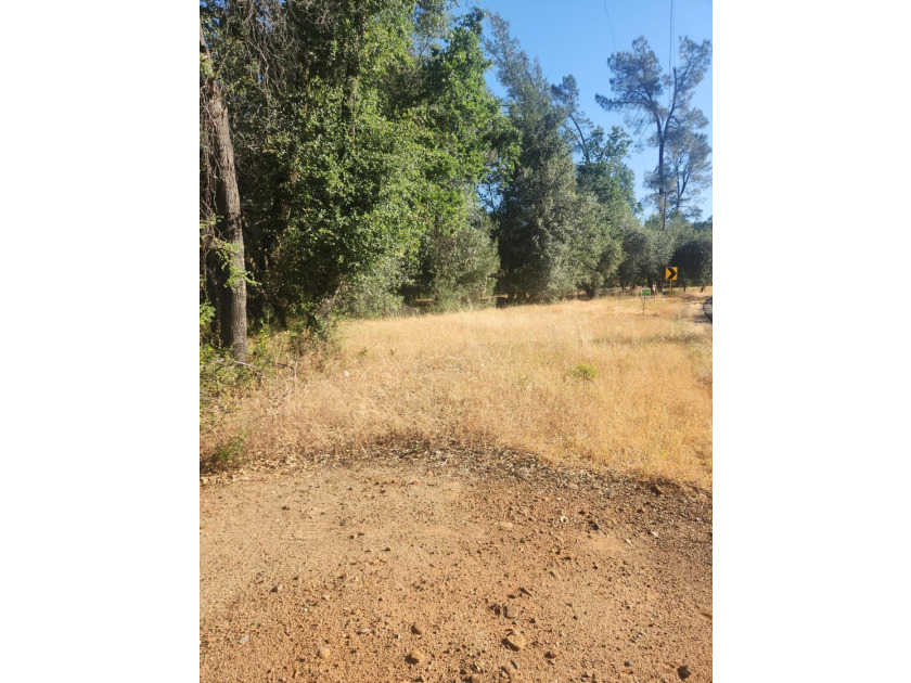 Located across the creek from Tierra Oaks, this level two acre - photo 2
