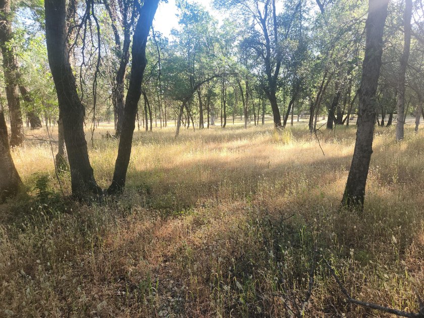 Located across the creek from Tierra Oaks, this level two acre - photo 3