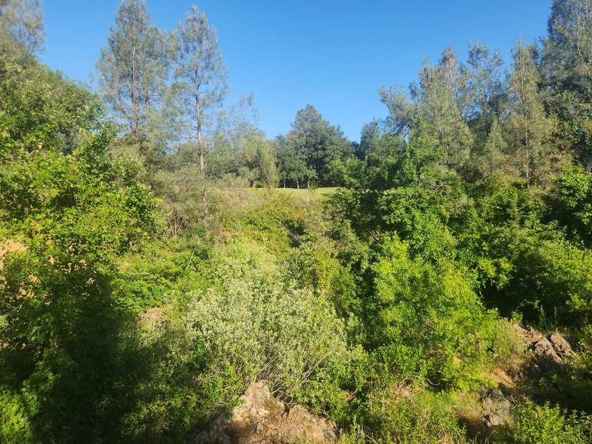 Located across the creek from Tierra Oaks, this level two acre - photo 5