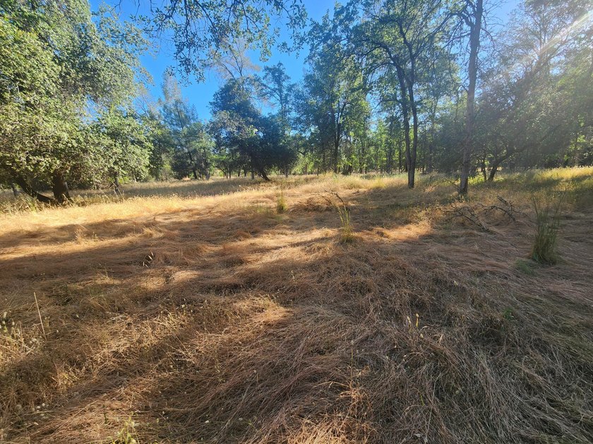 Located across the creek from Tierra Oaks, this level two acre - photo 6