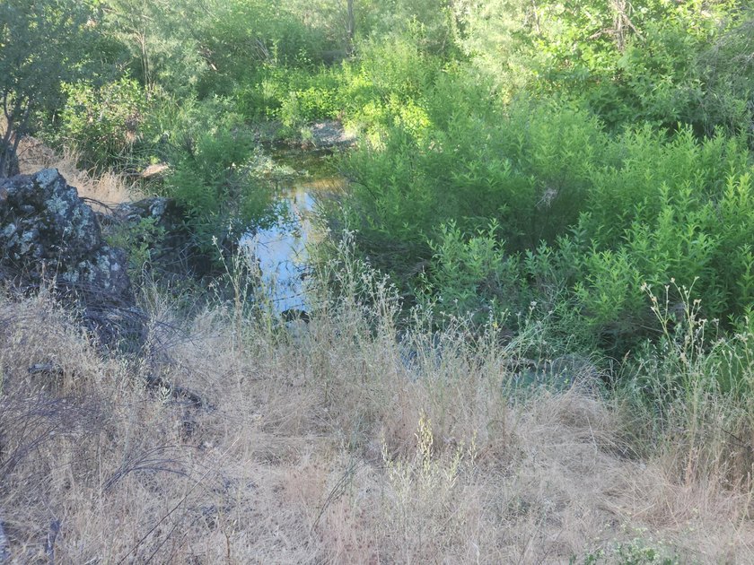 Located across the creek from Tierra Oaks, this level two acre - photo 7