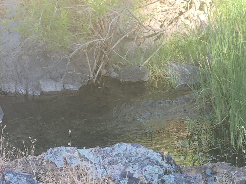 Located across the creek from Tierra Oaks, this level two acre - photo 8